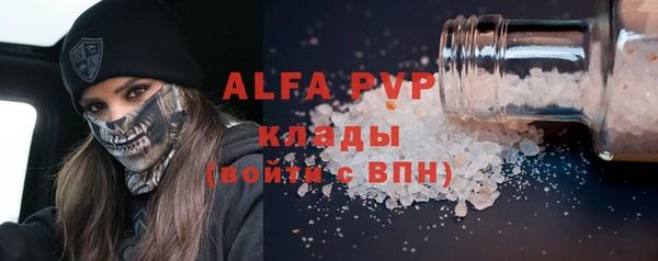 МДПВ Каменногорск