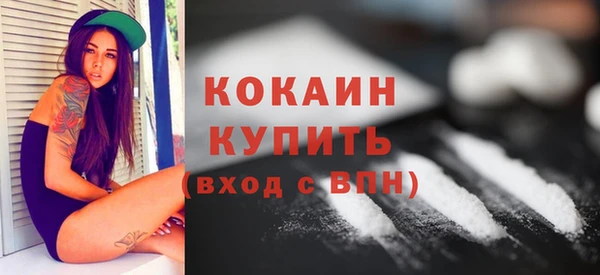 МДПВ Каменногорск