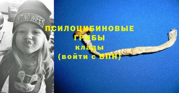 МДПВ Каменногорск