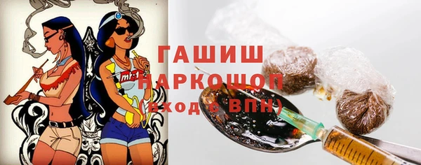 МДПВ Каменногорск