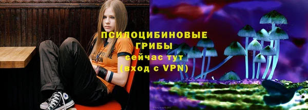 гидропоника Каменск-Шахтинский