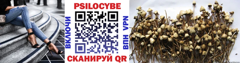 Псилоцибиновые грибы Psilocybine cubensis  Купить  Великий Новгород 